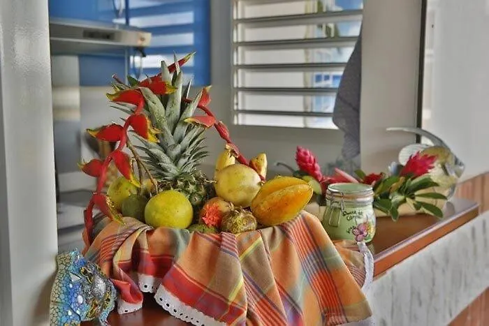 Tatil Evi Grande Vigie Gite Piscine Commune Saint-Francois